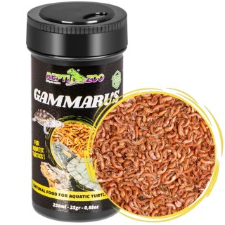 Repti-Zoo Gammarus 250ml - kiełż zdrojowy