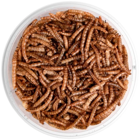 Terrario Repti Bites Mealworms 250ml - larwy mącznika suszone