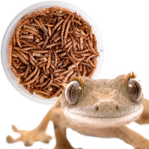 Terrario Repti Bites Mealworms 250ml - larwy mącznika suszone