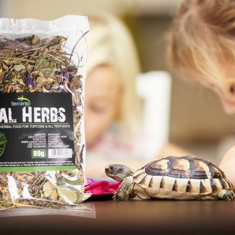 Terrario Vital Herbs 80g - zioła dla żółwi