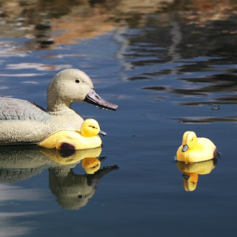 Oase Pond Figures Duck - pływająca ozdoba