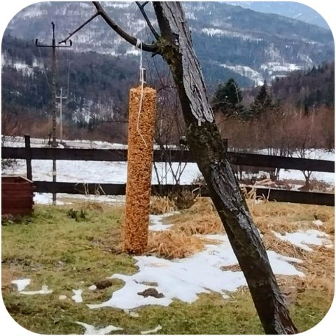 Gami Kolba XXL z robakami 400g - pokarm dla ptaków dzikich