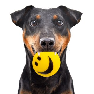 HappyPet Smiley Ball - uśmiechnięta piłeczka