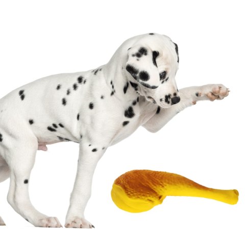 Lupipets Dog Toy Grill - zabawka piszcząca 16cm