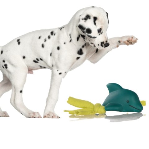 Lupipets Dog Toy Super Dolphin - zabawka piszcząca 7cm