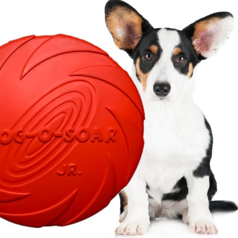 Pet Nova zabawka - dysk gumowy frisbee czerwony 15cm