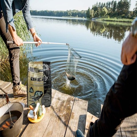 Genlog Golden Bream Czarny Piernik i Cynamon - zanęta na leszcze 3kg