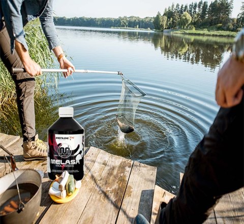 Genlog - melasa naturalna w płynie 500ml