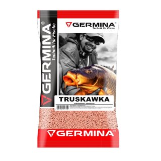 Germina Truskawka - zanęta wędkarska 2,5 kg