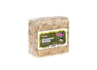 Mech torfowiec Sphagnum moss 100g