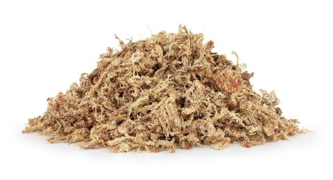 Mech torfowiec Sphagnum moss 1kg