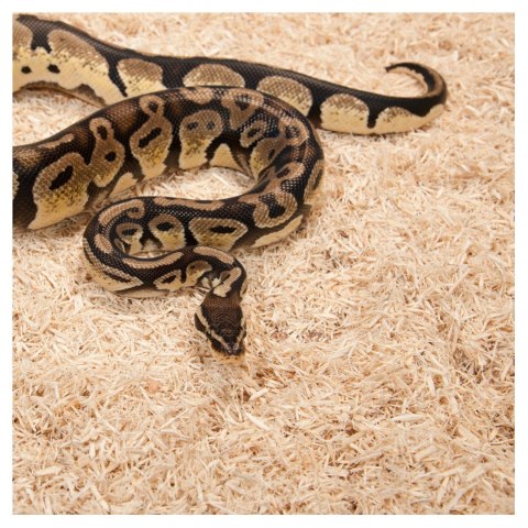 Repti-Zoo Aspen Snake Bedding - podłoże włókna topoli 500 g