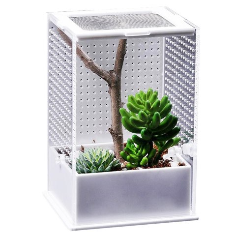 Repti-Zoo Mantis Box M - terrarium akrylowe dla modliszek