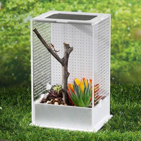 Repti-Zoo Mantis Box M - terrarium akrylowe dla modliszek