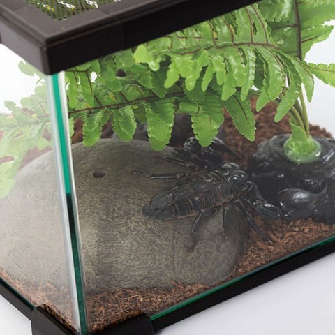 Repti-Zoo Terrarium AK 21x21x15