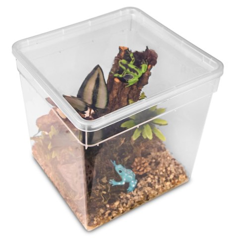 Terrario ReptiBox 19x19x19cm - przeźroczyste terrarium faunarium