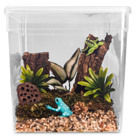 Terrario ReptiBox 19x19x19cm - przeźroczyste terrarium faunarium