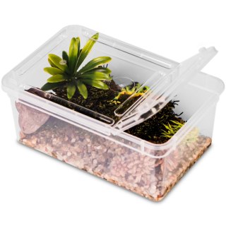 Terrario Reptiland 19x12x7,5cm - przeźroczyste terrarium faunarium