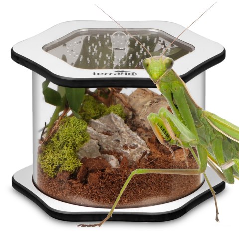 Terrario Spiders Tube Big100 - terrarium akrylowe