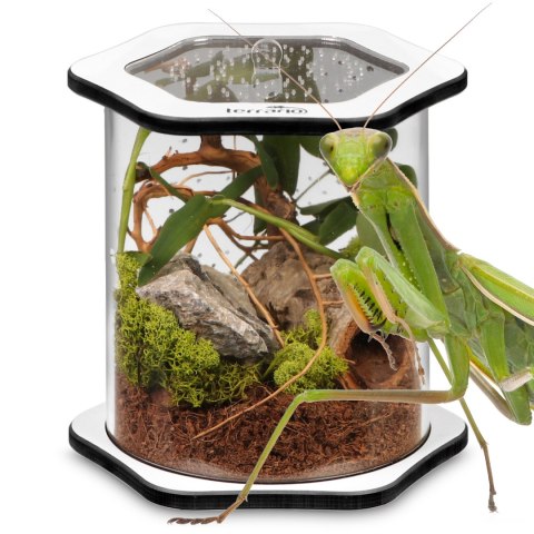 Terrario Spiders Tube Big150 - terrarium akrylowe