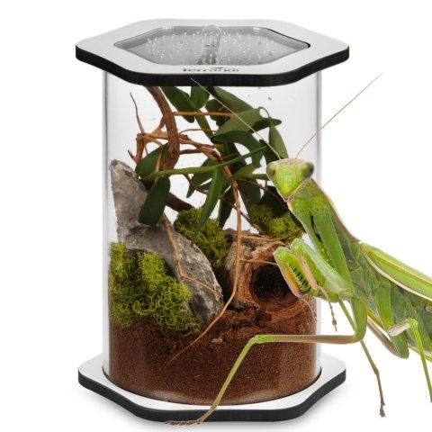 Terrario Spiders Tube Big200 - terrarium akrylowe