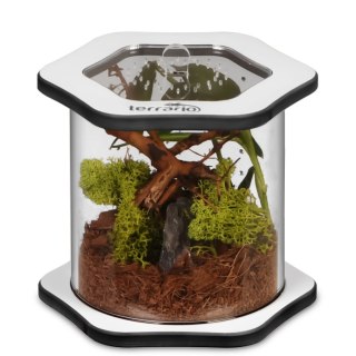 Terrario Spiders Tube Med100 - terrarium akrylowe