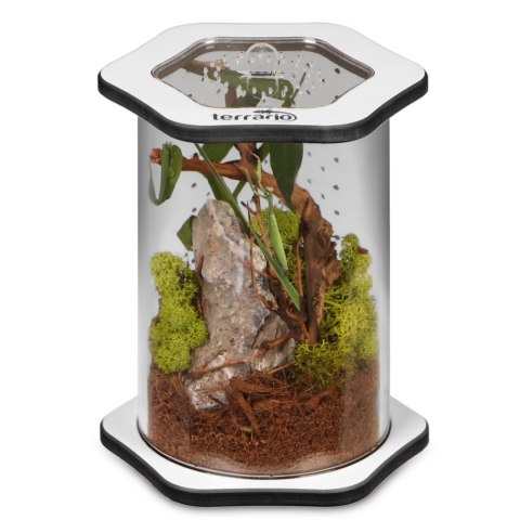 Terrario Spiders Tube Med150 - terrarium akrylowe