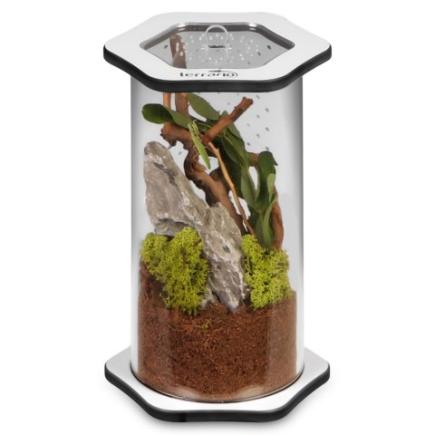 Terrario Spiders Tube Med200 - terrarium akrylowe