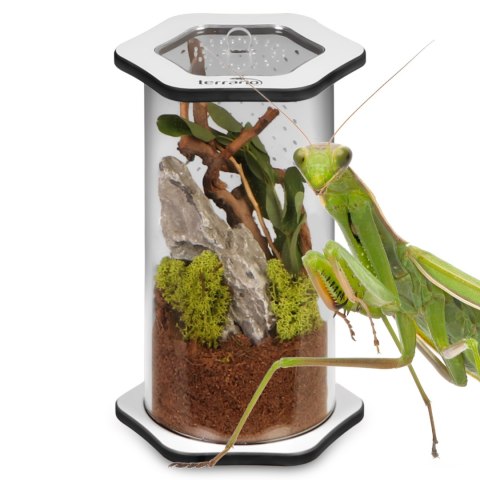 Terrario Spiders Tube Med200 - terrarium akrylowe