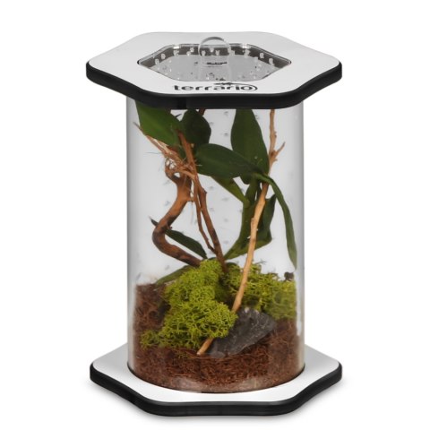 Terrario Spiders Tube Tall100 - terrarium akrylowe