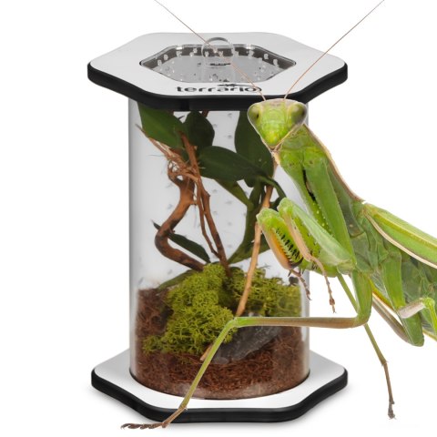 Terrario Spiders Tube Tall100 - terrarium akrylowe