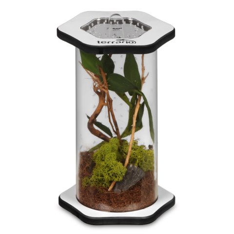 Terrario Spiders Tube Tall150 - terrarium akrylowe