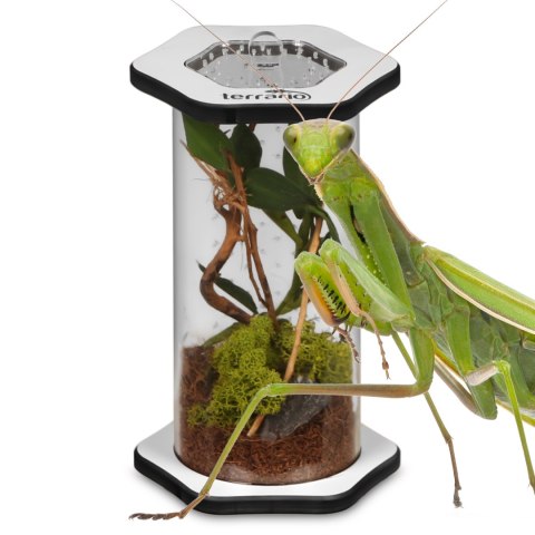 Terrario Spiders Tube Tall150 - terrarium akrylowe