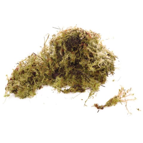 Komodo Habitat Moss 3l - żywy mech torfowiec 400g