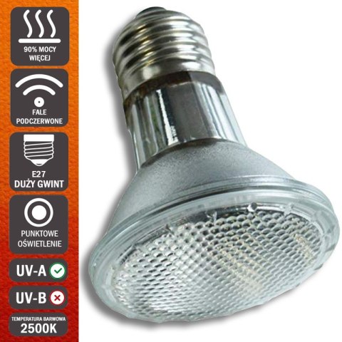 Komodo Halogen 50W - halogen grzewczy 3w1