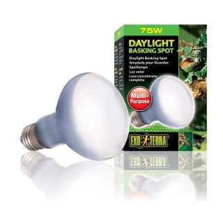 EXO TERRA Daylight Basking Spot 75W (żarówka grzewcza neodymowa)