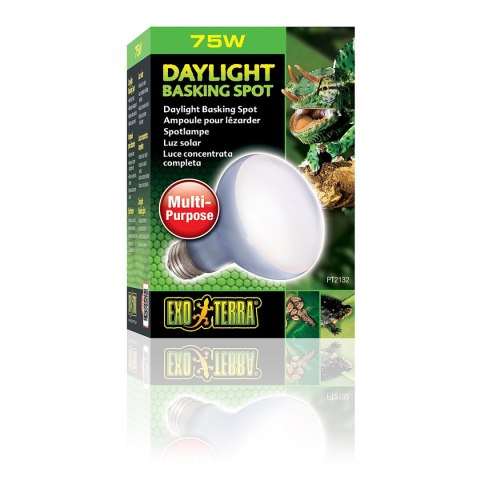 EXO TERRA Daylight Basking Spot 75W (żarówka grzewcza neodymowa)