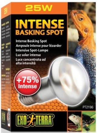 EXO TERRA Intense Basking Spot 25W (żarówka grzewcza)