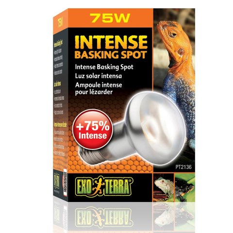 EXO TERRA Intense Basking Spot 75W (żarówka grzewcza)