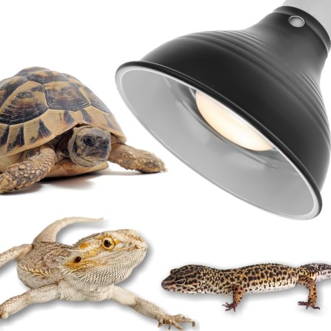 Resun Reptile Lamp & Hold - lampa do terrarium z uchwytem