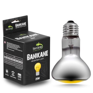 Terrario Banikane Neodymium Light - żarówka grzewcza neodymowa 25W