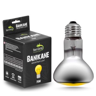 Terrario Banikane Neodymium Light - żarówka grzewcza neodymowa 75W