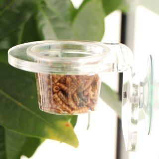 Terrario Gecko Bar Dish - miseczka zapasowa 30ml