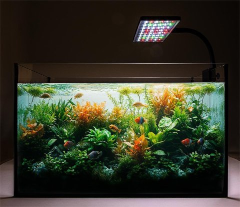 Lampa AquaLED Plant color 17W