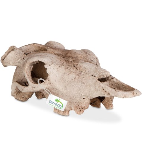 Terrario Buffalo Skull - kryjówka do terrarium 21x12x8 cm