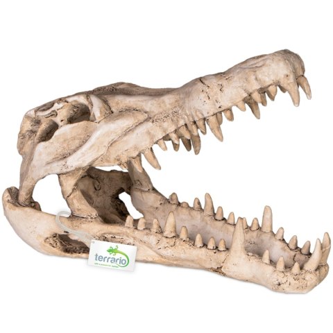 Terrario Crocodile Skull XL - ozdoba do terrarium 23x11x16 cm