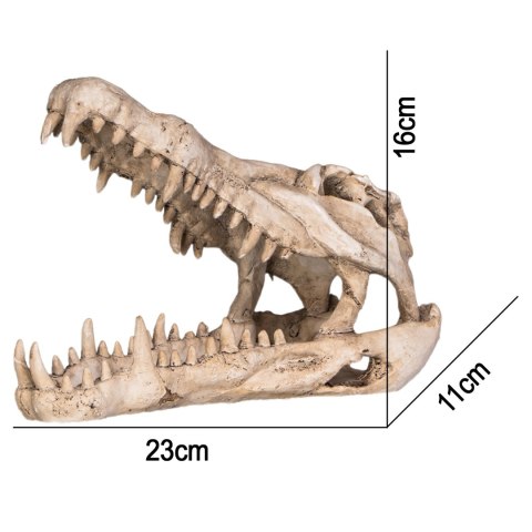 Terrario Crocodile Skull XL - ozdoba do terrarium 23x11x16 cm