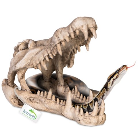 Terrario Crocodile Skull XL - ozdoba do terrarium 23x11x16 cm