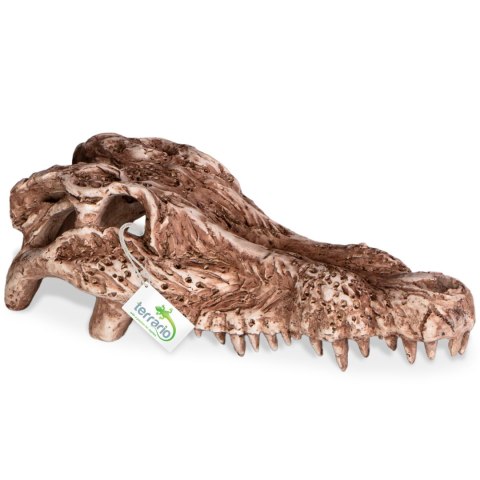 Terrario Crocodile Skull - ozdoba do terrarium 30x14x9 cm