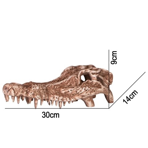 Terrario Crocodile Skull - ozdoba do terrarium 30x14x9 cm